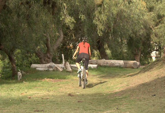 servicios-inraki-lodge-guayllabamba-ecuador-5